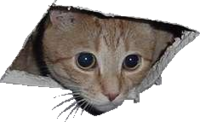 Ceiling Cat