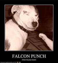 Falcon_punch_dog