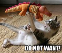 Do_not_want_cat