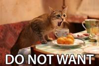 Do_not_want_cat_2