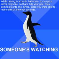 Socially Awkward Penguin