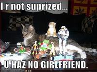 LOLcats