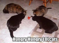 LOLcats