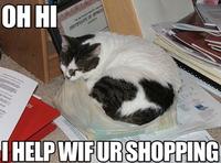 LOLcats