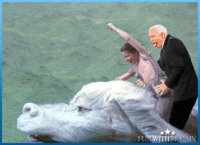 Zombie McCain