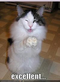 LOLcats