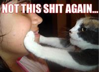 LOLcats