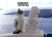 LOLcats