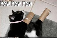 Pew Pew