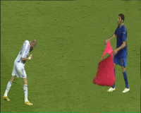 Zidane's Headbutt