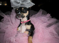 Aretha's Hat