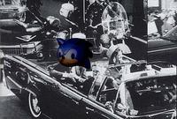 DSS : Down Syndrome Sonic