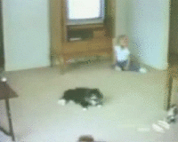 LOLcats