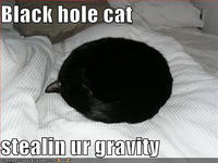 LOLcats