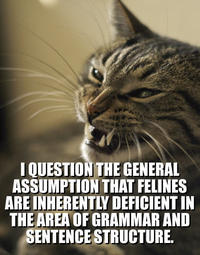 LOLcats