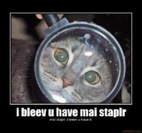 I Believe You Have My Stapler