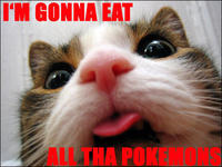 LOLcats