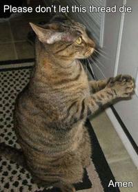 LOLcats