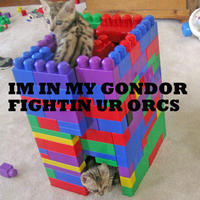 LOLcats