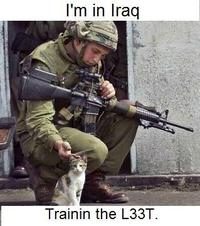 LOLcats