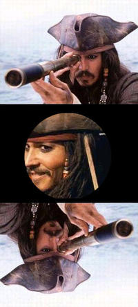Jack Sparrow Reaction