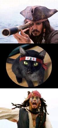 Jack Sparrow Reaction