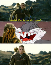 What do your elf eyes see?