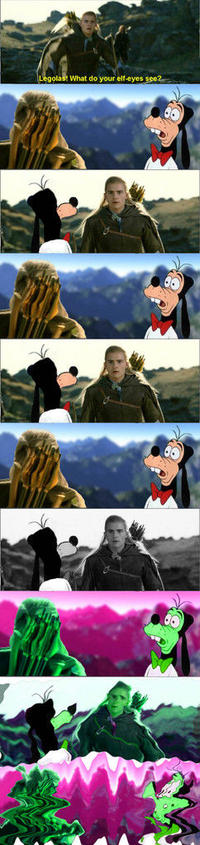 What do your elf eyes see?