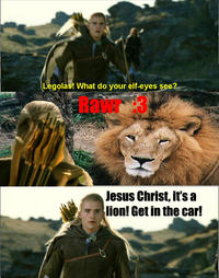 What do your elf eyes see?