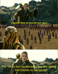 What do your elf eyes see?