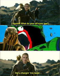 What do your elf eyes see?