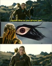 What do your elf eyes see?