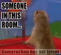 Dramatic Chipmunk / Drama Prairie Dog