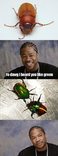 Xzibit Yo Dawg