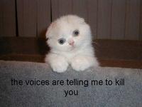 LOLcats