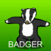 Badger Badger Badger