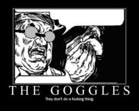 The Goggles Do Nothing!
