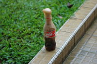 Diet Coke and Mentos