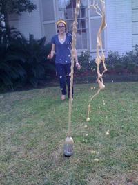 Diet Coke and Mentos
