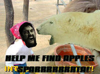 Apples Bear