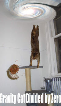 Gravity Cat
