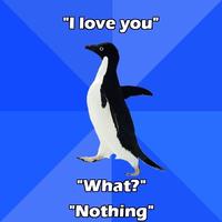 Socially Awkward Penguin
