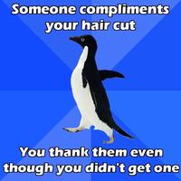 Socially Awkward Penguin