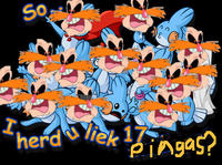 I Herd U Like Mudkips