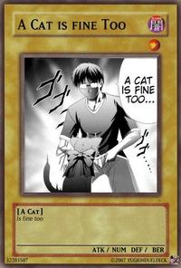 A Cat Is Fine Too