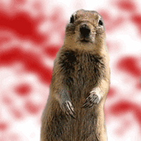 Crasher Squirrel