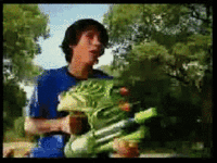 Iraqi Shoe Toss