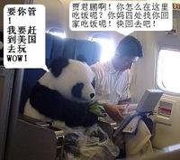 Jia Jun Peng, your mother wants you to come home for dinner!