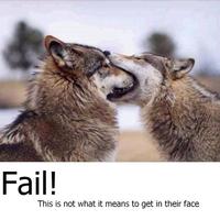 FAIL