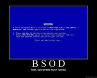 Blue Screen of Death (BSoD)